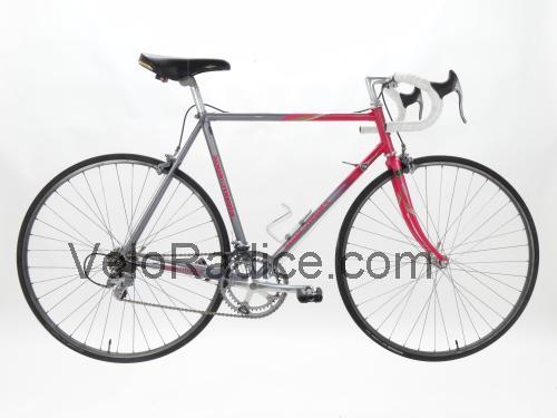 Koga Miyata Flyer scheda tecnica e recensioni